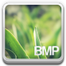BMP File Icon 96x96 png